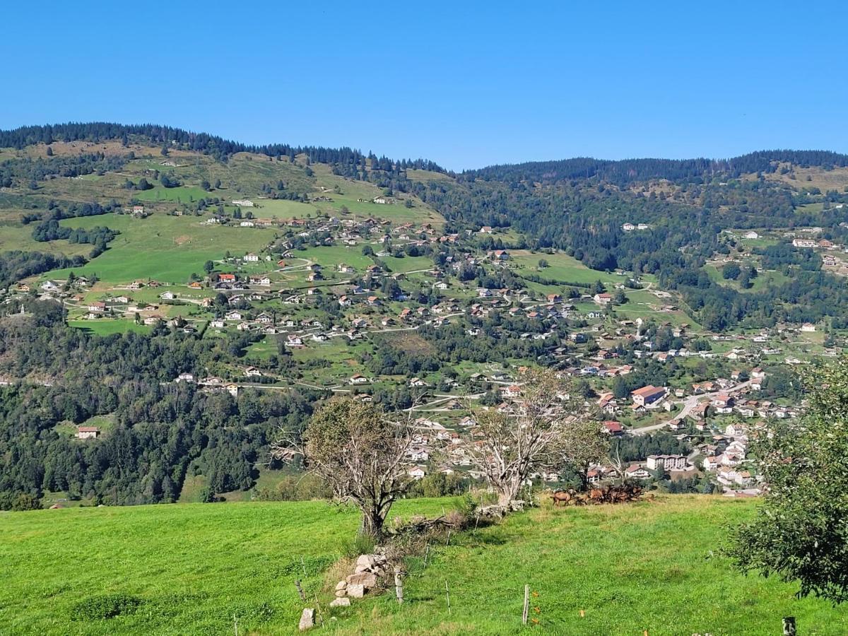 Maison Chaleureuse La Meybel La Bresse Eksteriør bilde